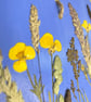 Pressed Flower Hand Painted Wooden Heart Buttercups and Grasses Botanical Art - Image 6