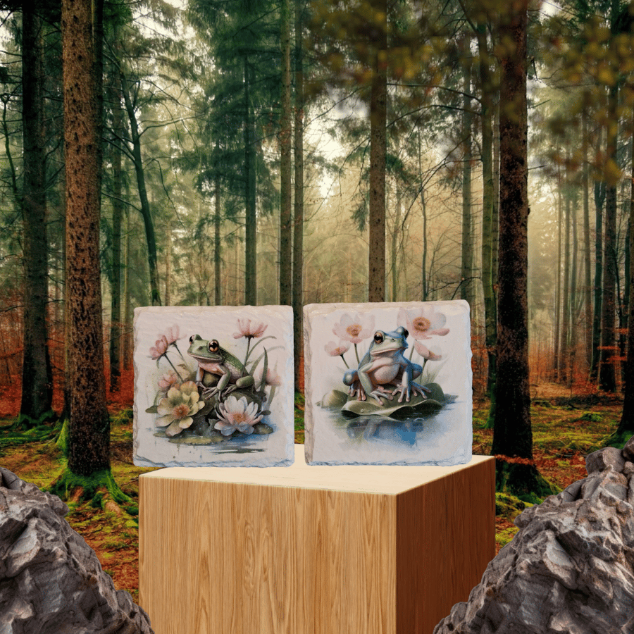 Frog on Lilypad Decoupaged Slate Coasters Set of 2