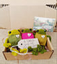 Three Handmade Froglets in a Gift Box - Friendship Gift - Frog Lover Present - Image 2