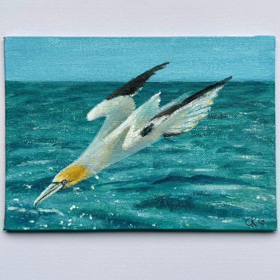 Gannet Painting, Original Art