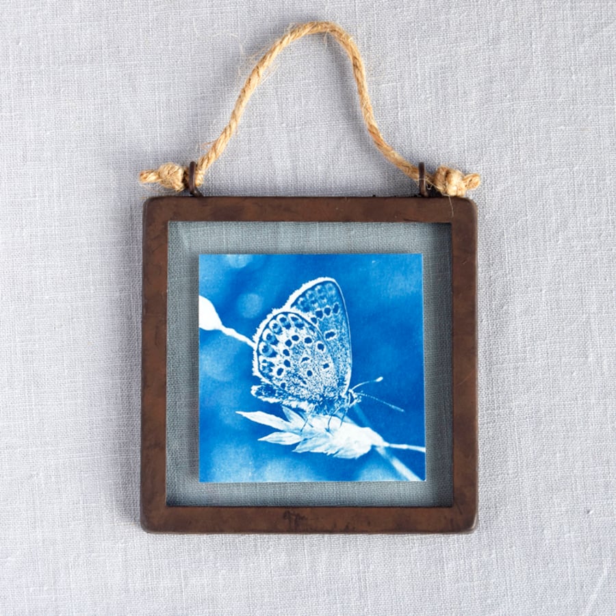 Silver Studded Blue Butterfly Cyanotype in industrial style metal & glass frame