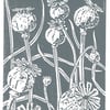 Poppy Seedhead charcoal grey - Linocut Print