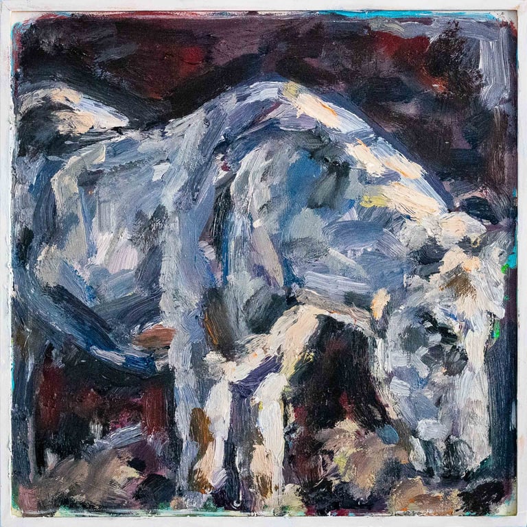 Grey Horse in Winter sun oil painting