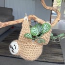 Hanging sloth 