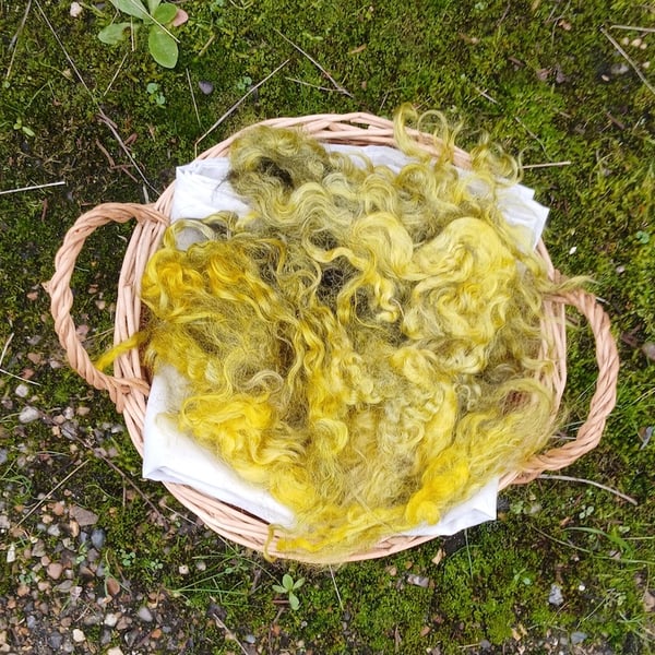 Soft Yellow Gotland Fleece
