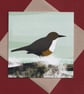 Greetings cards - birds of the river and estuary - pack of 4 - Image 4