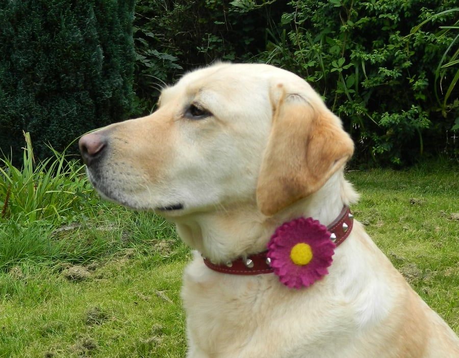 Dog Collar Accessory Pink Daisy Flower Decoration Gift for Pet Handmade Felt