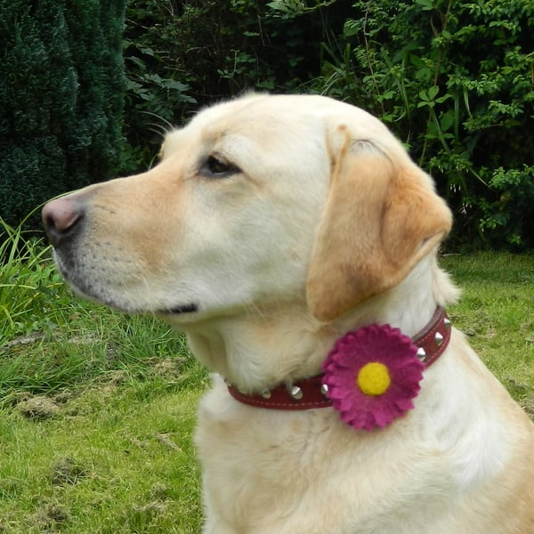 Dog Collar Accessory Pink Daisy Flower Decoration Gift for Pet Handmade Felt