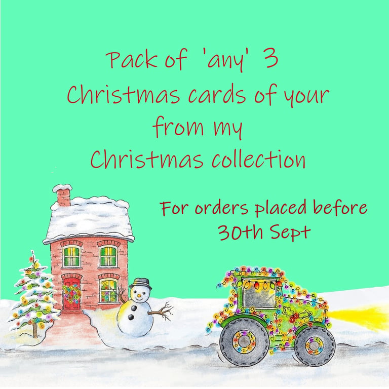 Christmas Cards - Pack of  'any' 3 Christmas Cards of your choosing
