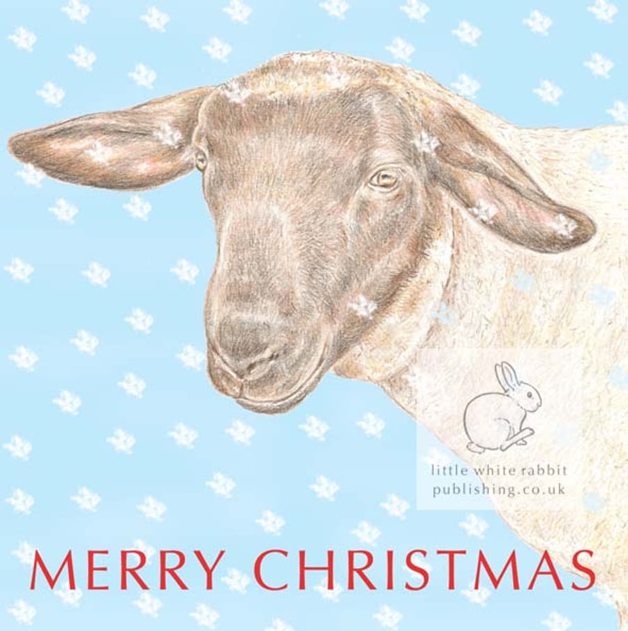 Jake the Sheep - Christmas Card