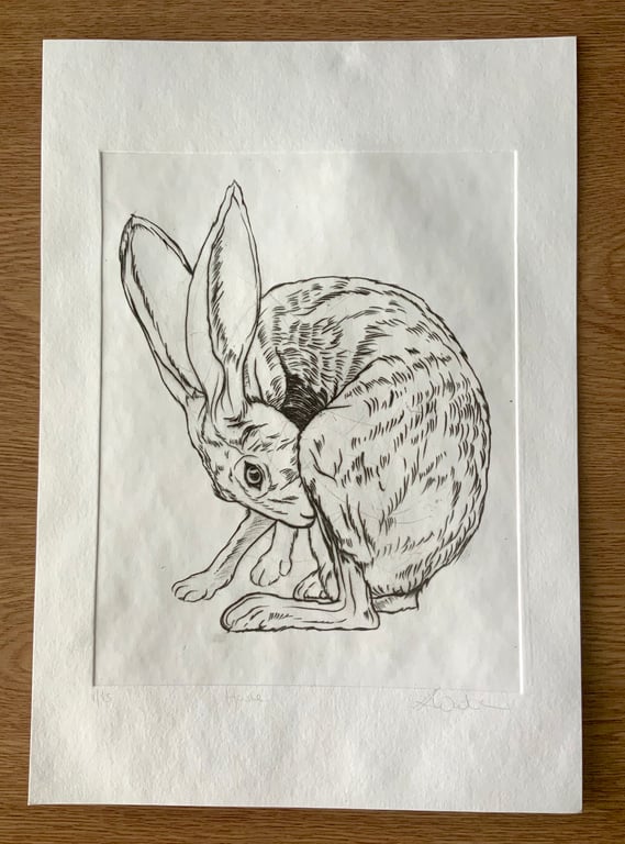 Drypoint Etching Print of a Hare, Original Wildlife Art