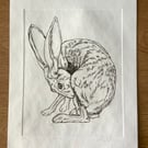 Drypoint Etching Print of a Hare, Original Wildlife Art