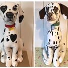 Heart or Spotted Dalmatian