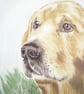 a lovely golden retriever and friend in the garden cushion  - Image 4
