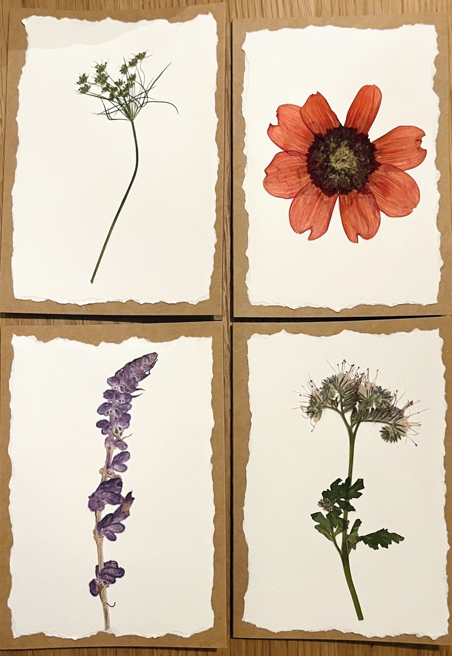 Real Pressed Flower Cards - set of four
