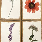 Real Pressed Flower Cards - set of four