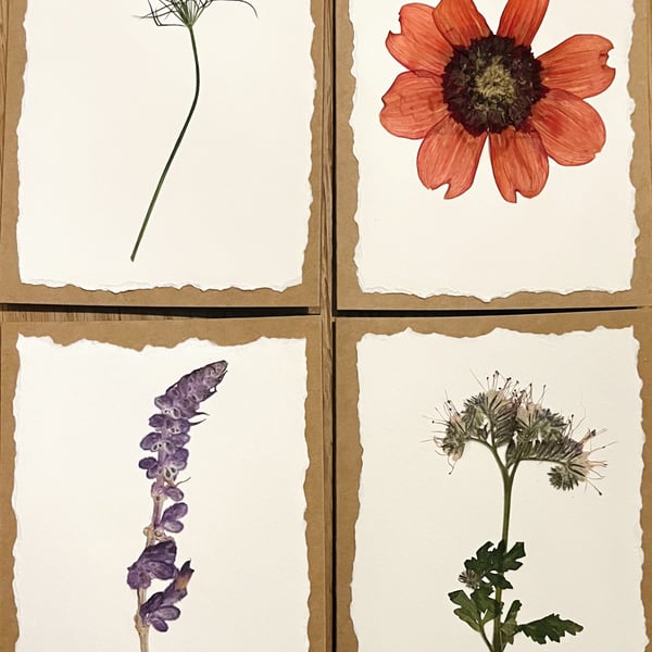 Real Pressed Flower Cards - set of four
