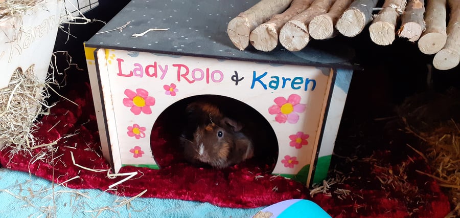 Personalised Wooden Pet House - For Small Animals