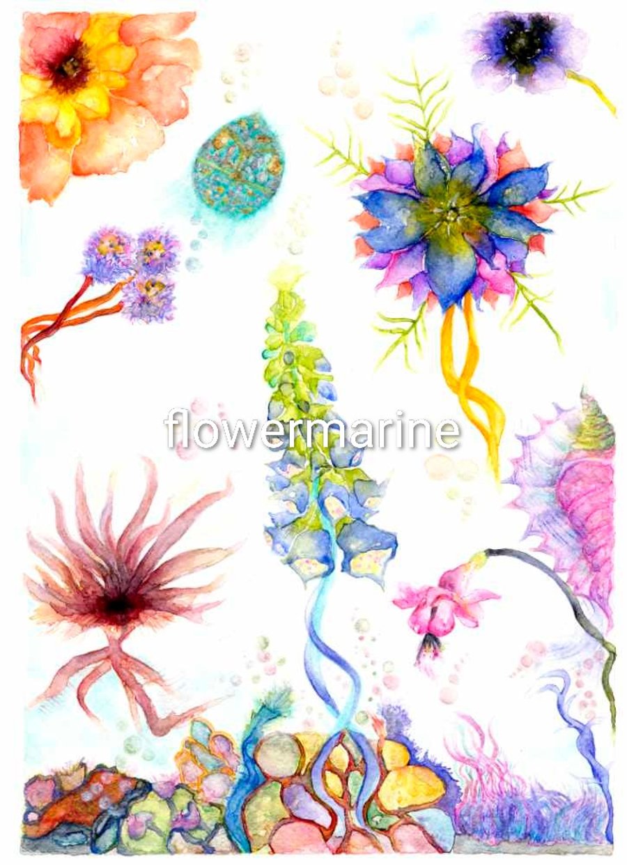 FlowerMarine2 mounted print ready to frame