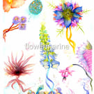 FlowerMarine2 mounted print ready to frame