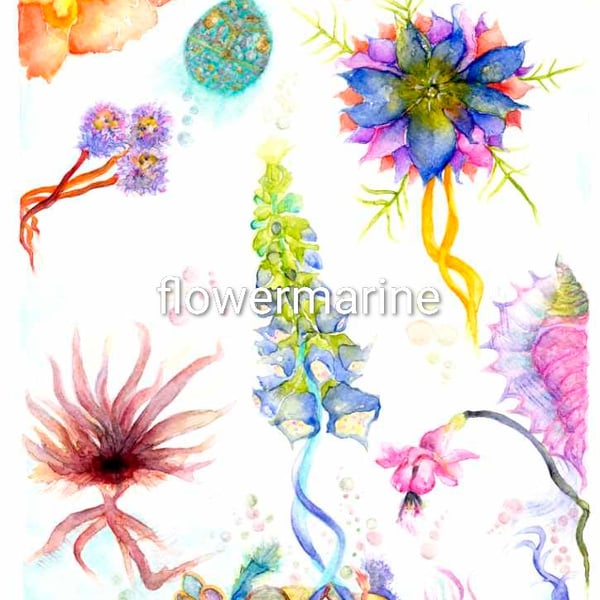 FlowerMarine2 mounted print ready to frame