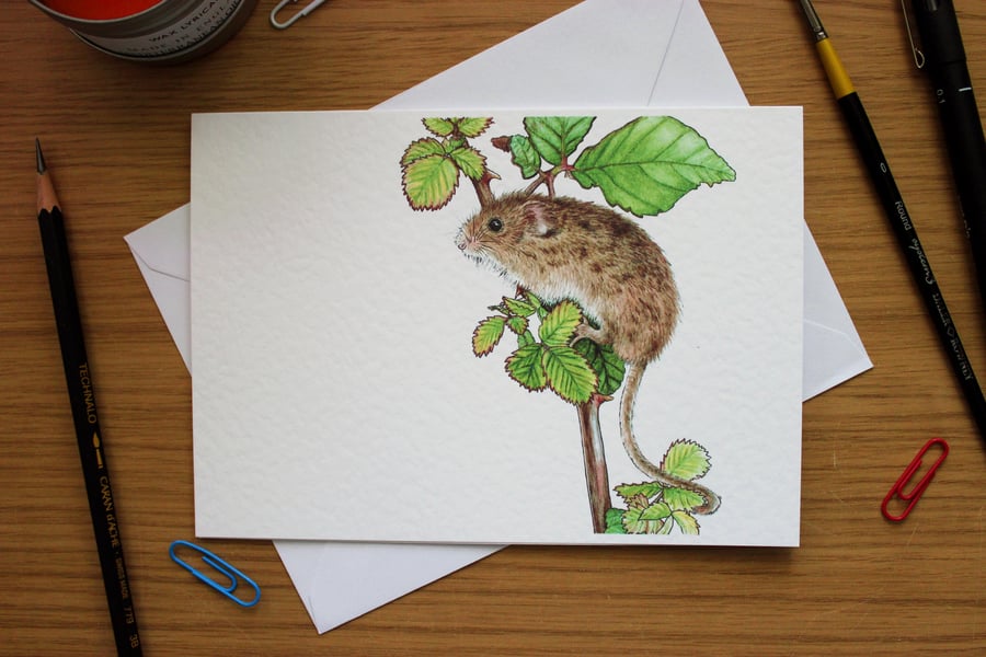 Harvest Mice Greeting Card -Blank Greeting Card, Wildlife Art Card, Free UK Post