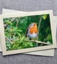 Robin Large Photographic Card 7" x 5" BLANK - Image 2