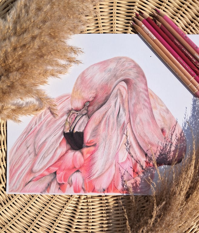 UNFRAMED Flamingo Bird Drawing 