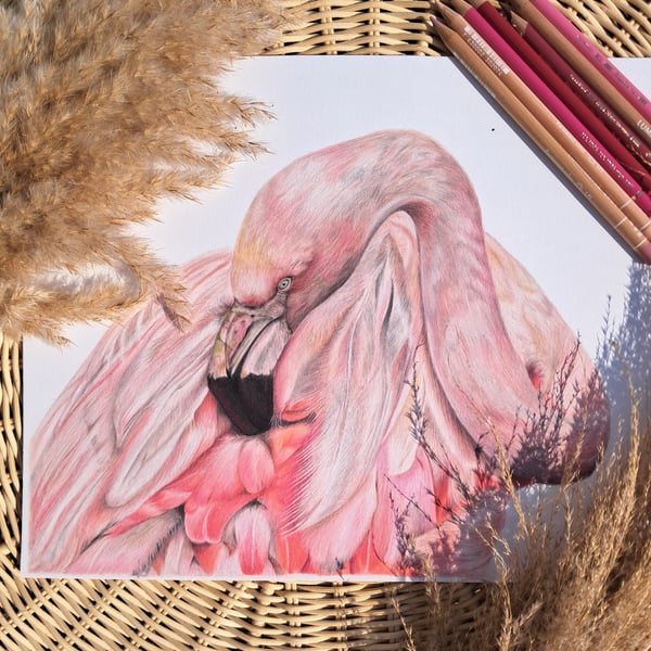 UNFRAMED Flamingo Bird Drawing 