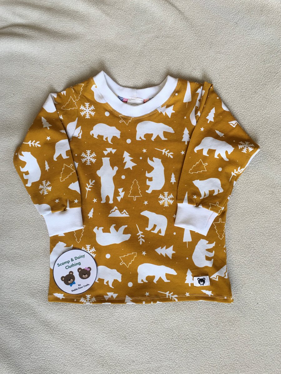 Age 18 months - long sleeved top