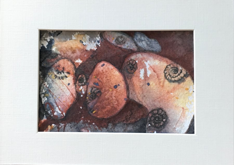 Ammonite pebbles painting 