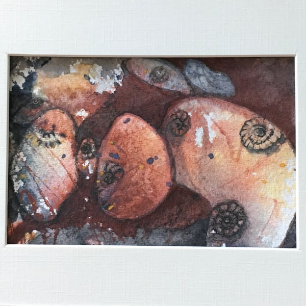 Ammonite pebbles painting 