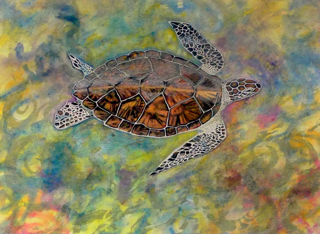 Original Watercolour 'Liquid Light' Hawksbill Turtle of Aldabra