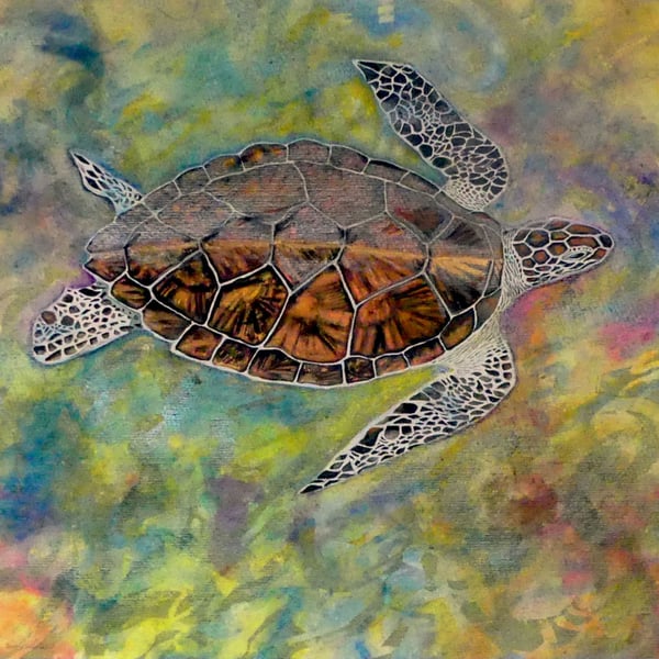 Original Watercolour 'Liquid Light' Hawksbill Turtle of Aldabra