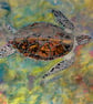 Original Watercolour 'Liquid Light' Hawksbill Turtle of Aldabra - Image 1