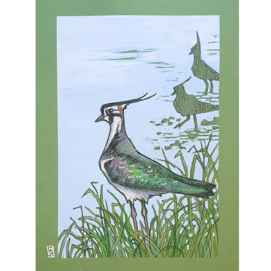 Northern Lapwing bird drawing, small bird artwork, wall art