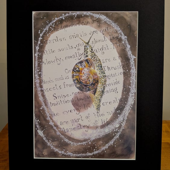 A Moonlight Wanderer (garden snail) an A4 print of an original painting