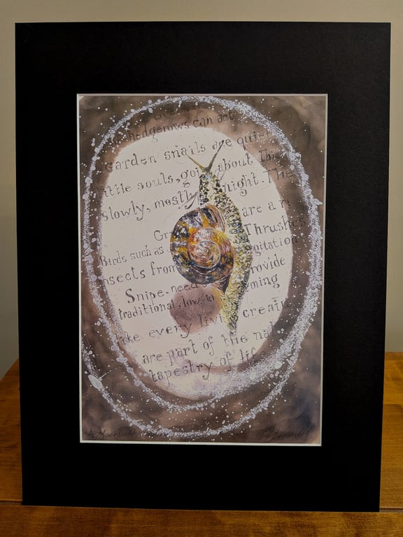 A Moonlight Wanderer (garden snail) an A4 print of an original painting