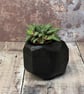 Burnt Wood Decorative Plant Holder - Image 4