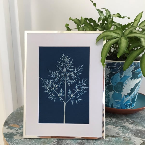 A Framed Cyanotype 'Botanicals in Blue' Photogram.