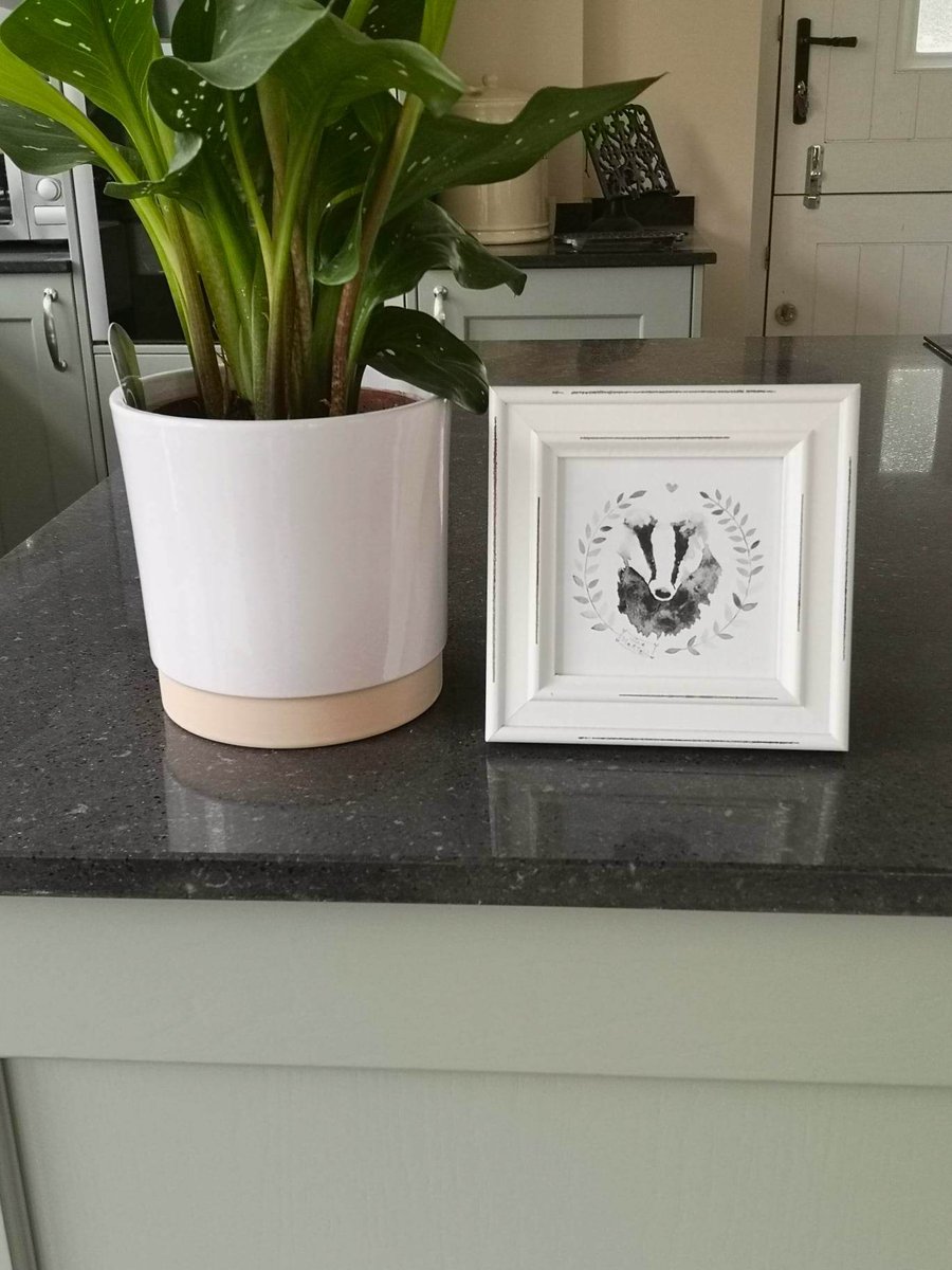 Original framed watercolour Badger . 4 x 4 inches by Nina Martell