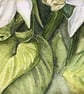 Garden Lilies - Original Watercolour Painting - Image 5