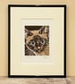Siamese Cat with blue eyes - Image 4