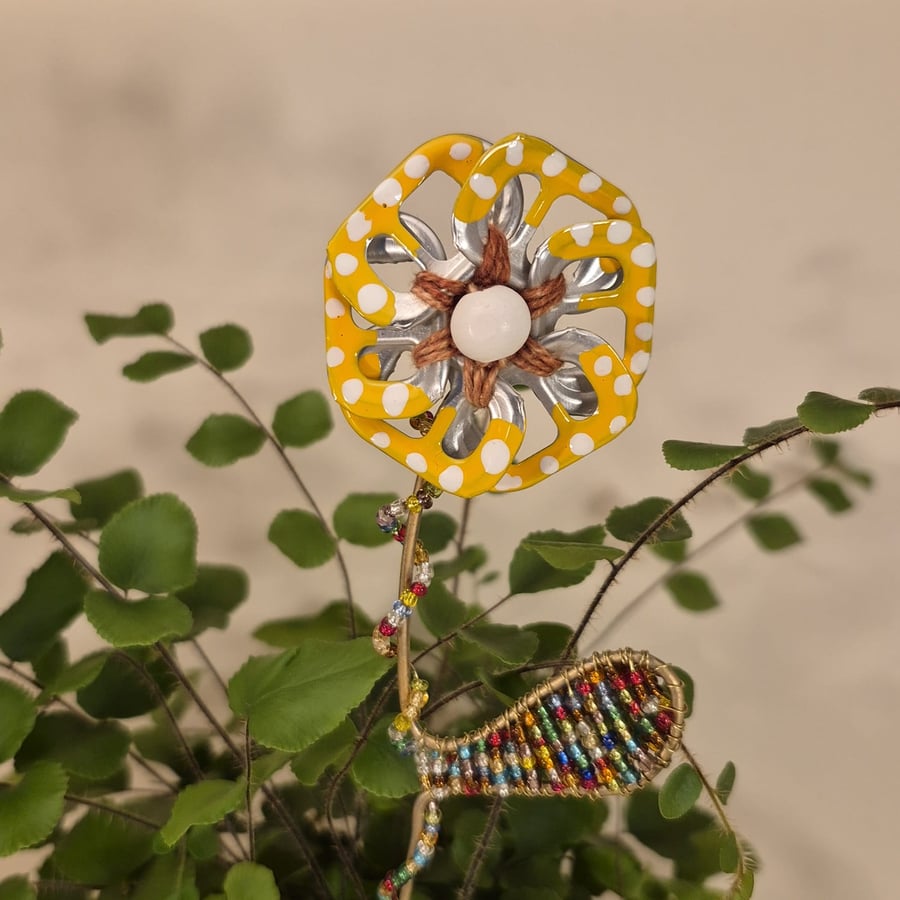 Yellow, white spotted & orange flower plant companion perfect for pot plants