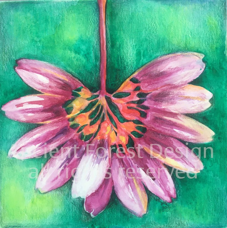 Purple orchid on green background, original watercolour painting