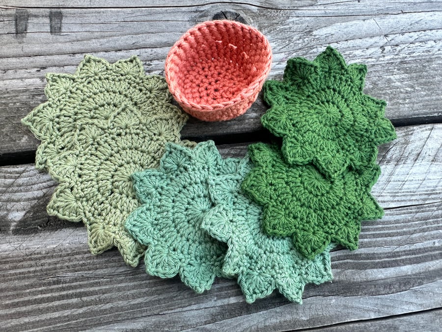 Set of 6 handmade crochet succulent coasters including holder