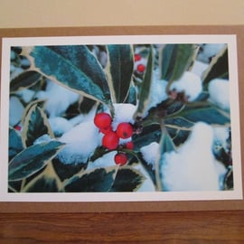 Snowy Holly Photo Greetings Card, Christmas Card, Yule Card