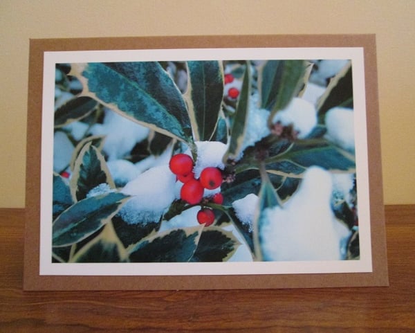 Snowy Holly Photo Greetings Card, Christmas Card, Yule Card