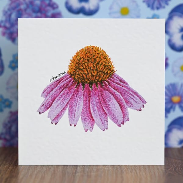 Echinacea Blank Floral Card