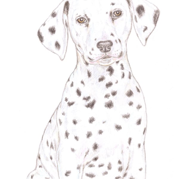 Dot the Dalmatian - Easter Card
